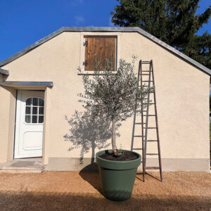 Outdoor Glamping Nuthetal