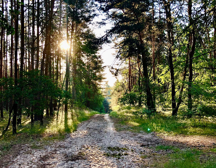 Waldweg Glamping Nuthetal