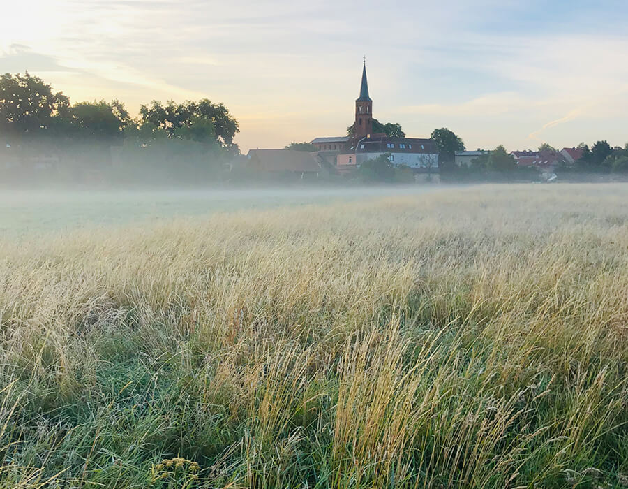 Wiese Glamping Nuthetal