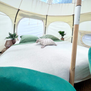 Zelt Indoor Glamping Nuthetal